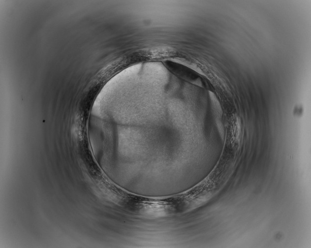 X0000097900316200804111052