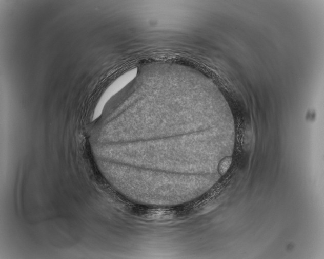 X0000097900319200804111052