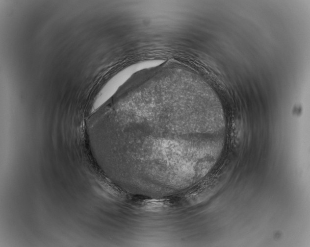 X0000097900320200804111052