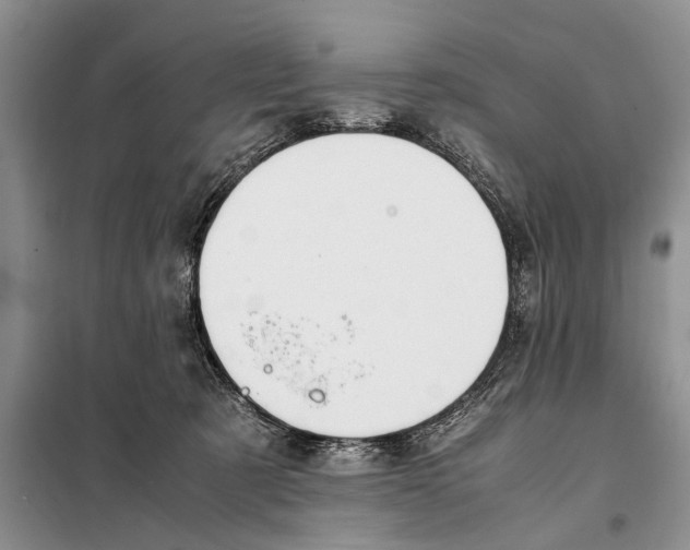 X0000097900321200804111052