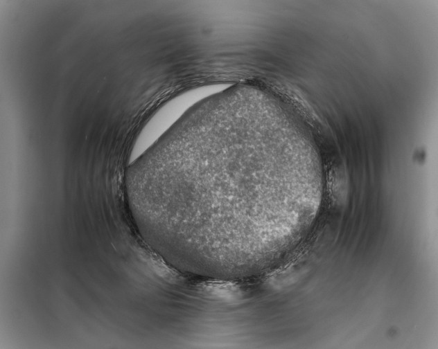 X0000097900322200804111052