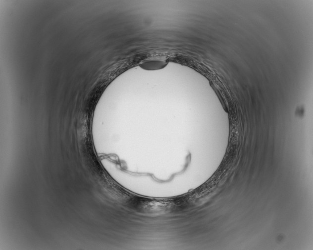 X0000097900323200804111052