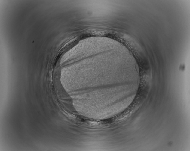 X0000097900325200804111052