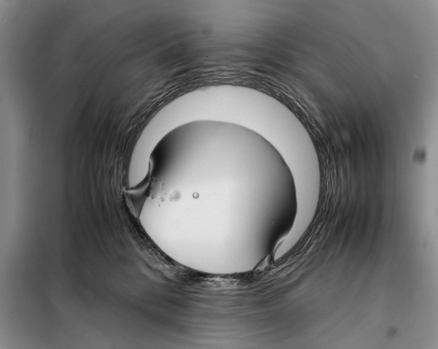 X0000097900328200804111052