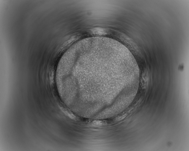 X0000097900330200804111052