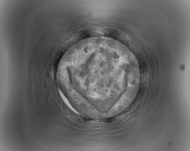 X0000097900331200804111052