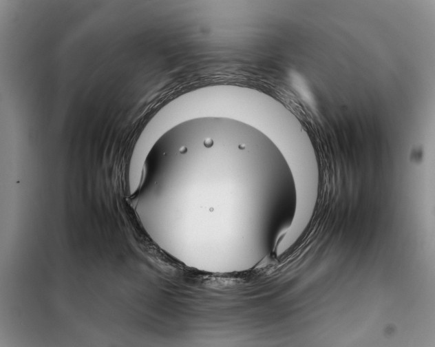 X0000097900332200804111052