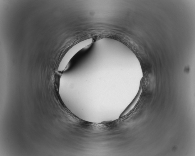 X0000097900333200804111052