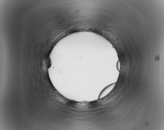 X0000097900335200804111051