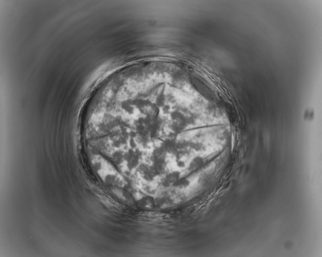 X0000097900339200804111050