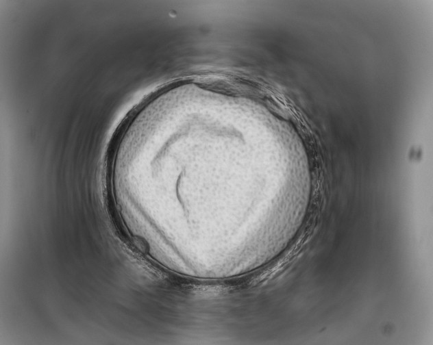 X0000097900342200804111051