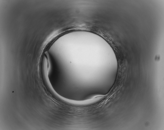 X0000097900344200804111051