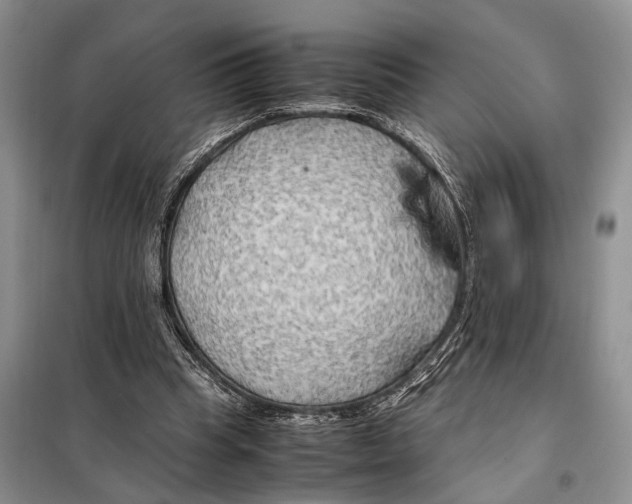 X0000097900345200804111051