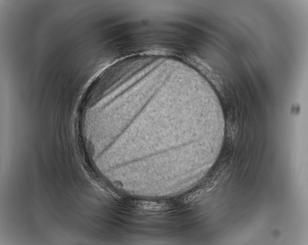 X0000097900347200804111051