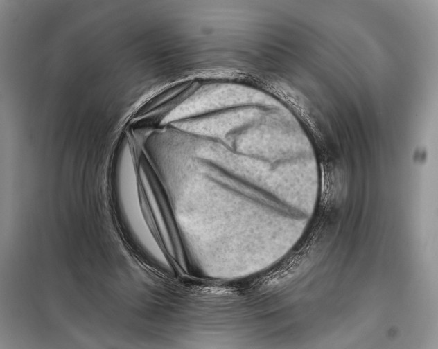 X0000097900348200804111051