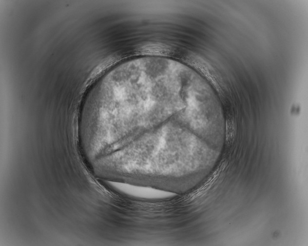 X0000097900349200804111051