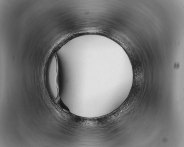 X0000097900350200804111051