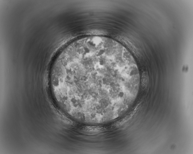 X0000097900351200804111051