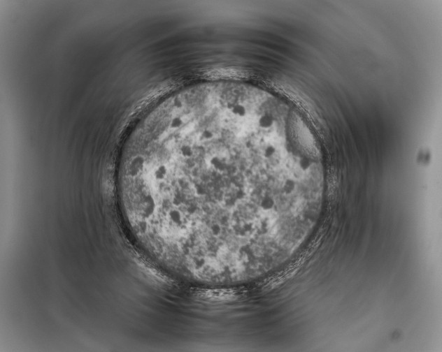 X0000097900353200804111051