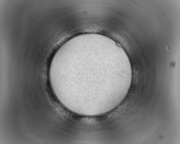 X0000097900354200804111051