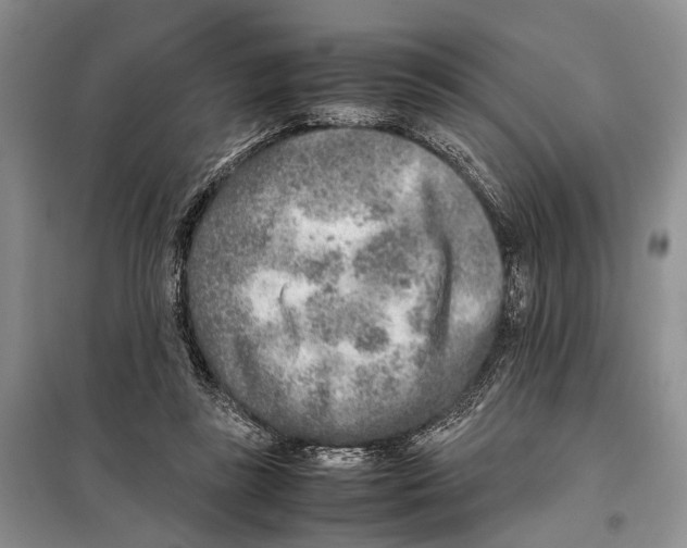 X0000097900355200804111051