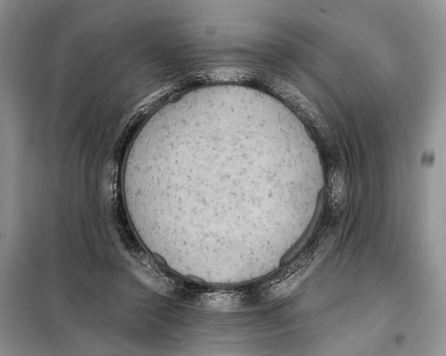 X0000097900356200804111051