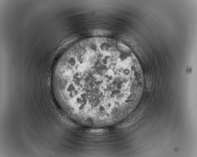 X0000097900357200804111051