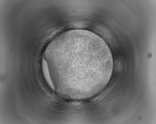 X0000097900358200804111051