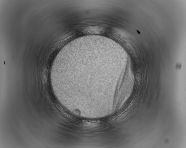 X0000097900359200804111051