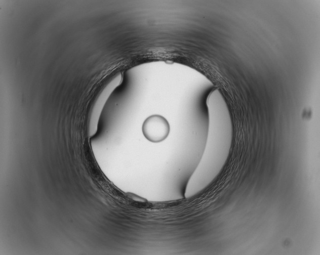 X0000097900360200804111051