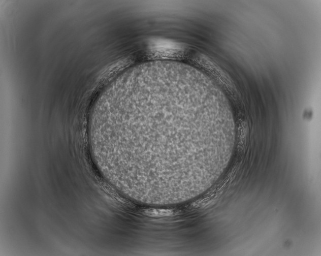 X0000097900361200804111051