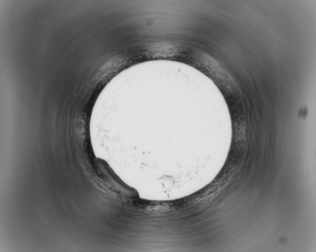 X0000097900362200804111051