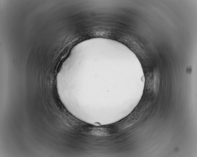 X0000097900363200804111051