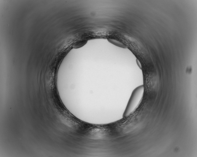 X0000097900364200804111051