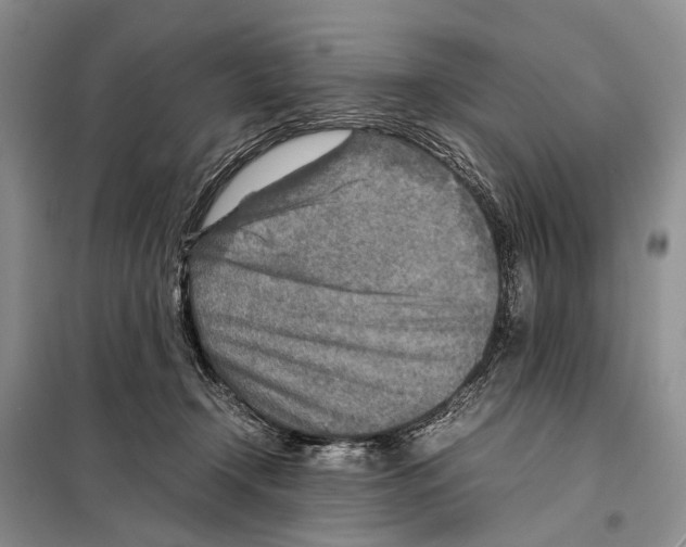 X0000097900366200804111051