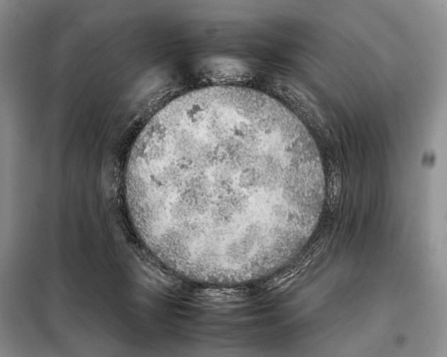 X0000097900367200804111051