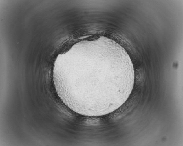 X0000097900369200804111051