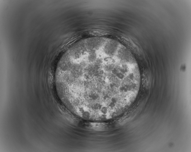 X0000097900371200804111051