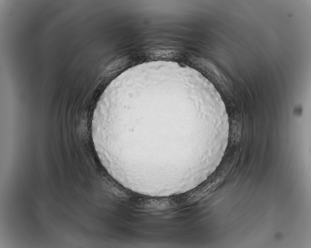 X0000097900377200804111051