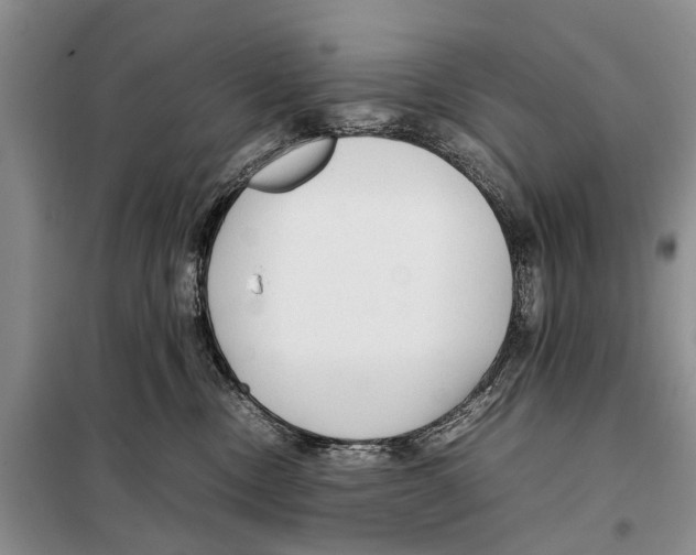 X0000097900378200804111051