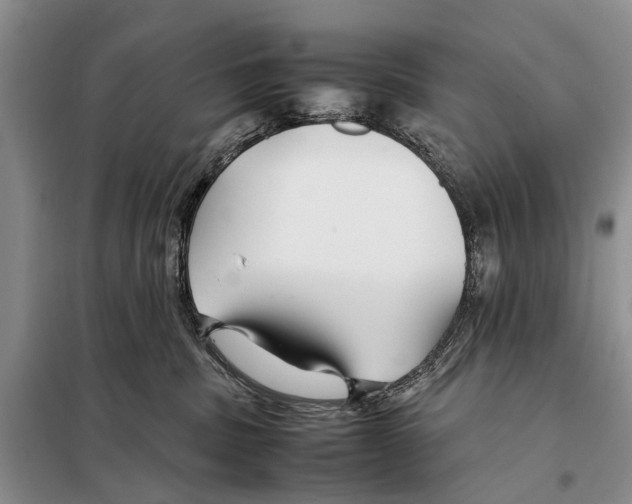 X0000097900379200804111051