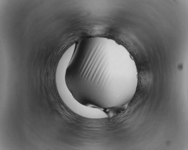 X0000097900380200804111051