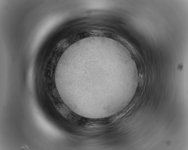 X0000097900381200804111051