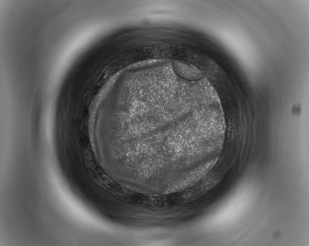 X0000097900383200804111051