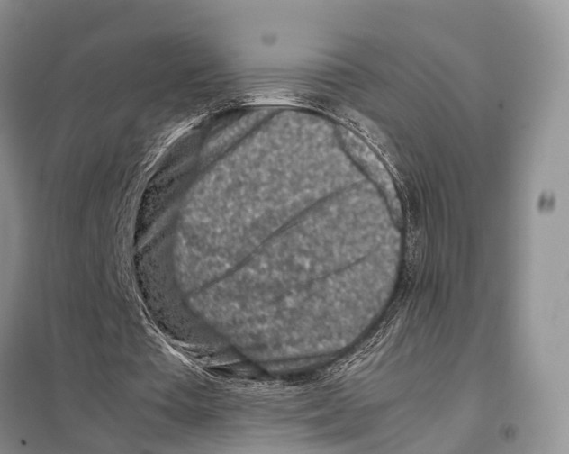 X0000097900385200804111050