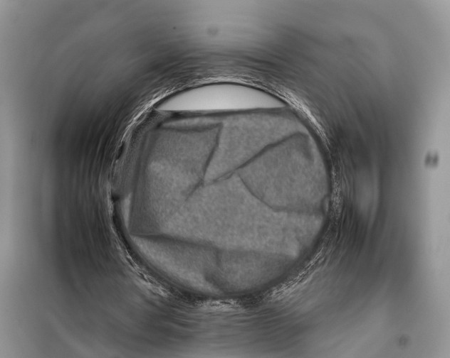 X0000097900386200804111050