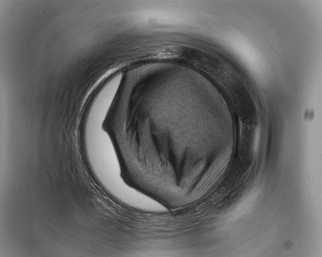 X0000097900387200804111050