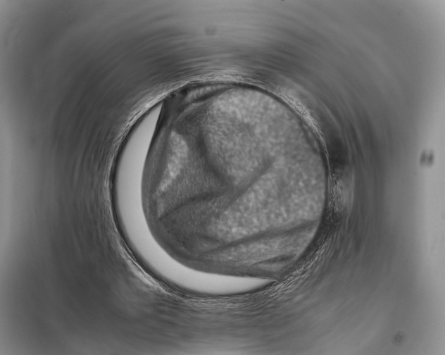 X0000097900389200804111050