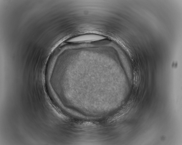 X0000097900390200804111050