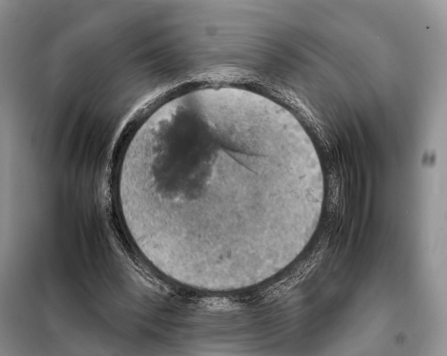 X0000097900392200804111050